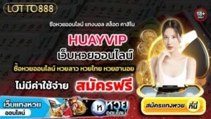 HUAYVIP